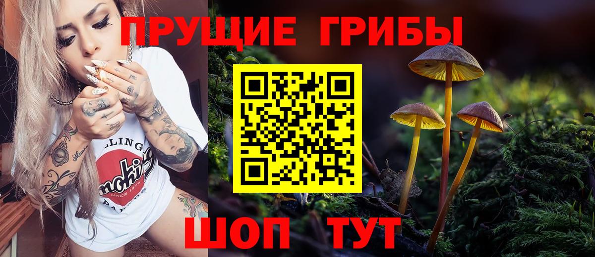 Псилоцибиновые грибы MAGIC MUSHROOMS  Вход с VPN  Новороссийск 