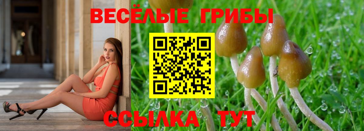 Псилоцибиновые грибы GOLDEN TEACHER Новороссийск
